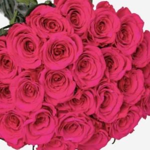 25 Diamond Pink Roses