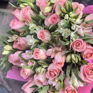25 Pink Roses Andastromelias