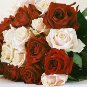 Absolute Sweetness Flowers