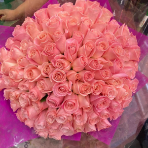 100 Pink Roses