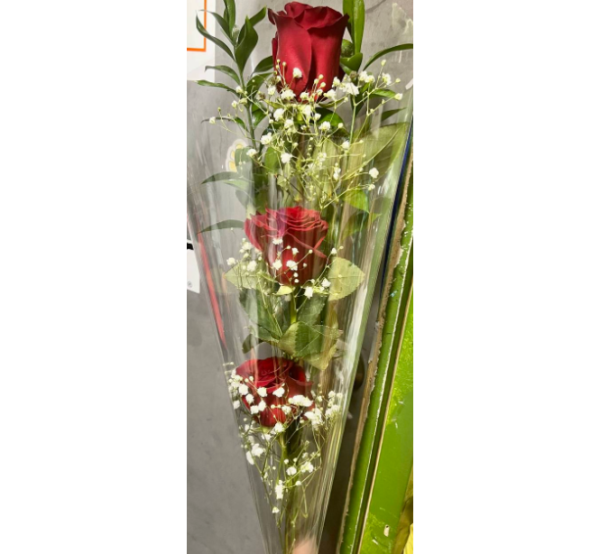 3 Stairs Roses