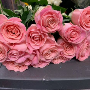 A Dozen Pink Hermosa Rose