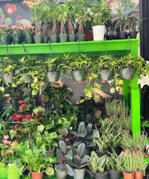 store_photos_4